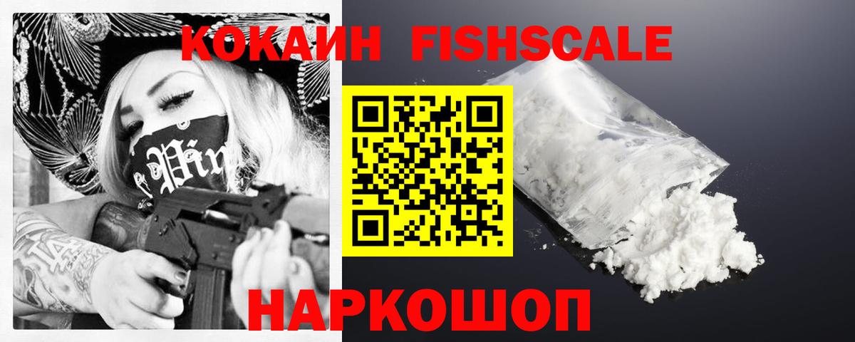 COCAIN  Вход с VPN  Краснознаменск  где купить наркоту  Cocaine VHQ  COCAIN Fish Scale 