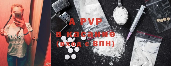 стаф Алексин