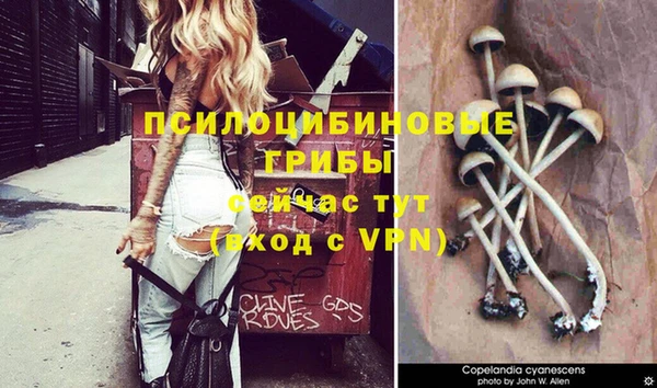 стаф Алексин