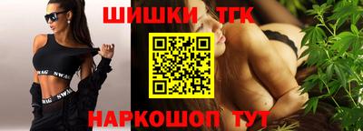 мдпв Гатчина