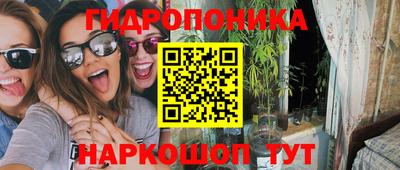 мдпв Гатчина